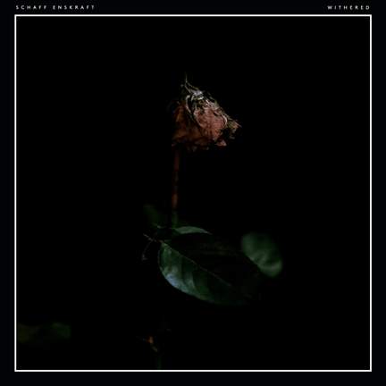 Withered