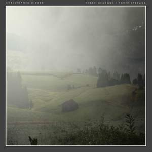 Three Meadows / Three Streams