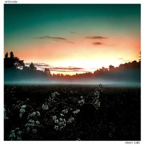 Dawn Calls