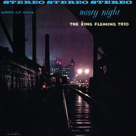 Misty Night