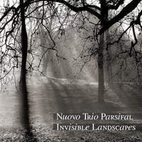 Invisible Landscapes
