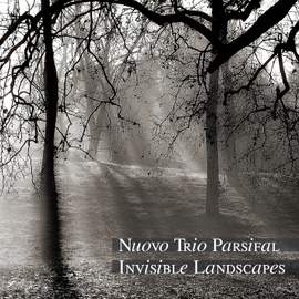Invisible Landscapes