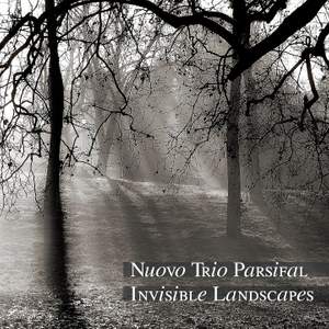 Invisible Landscapes