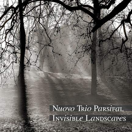 Invisible Landscapes