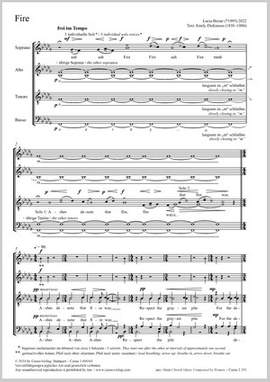 Birzer, Lucia: Fire