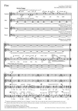 Birzer, Lucia: Fire