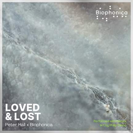 LOVED & LOST