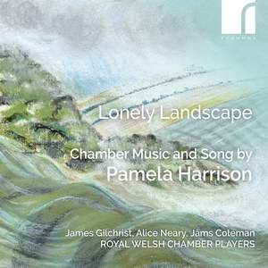 Lonely Landscape: Chamber Music & Song By Pamela Harrison