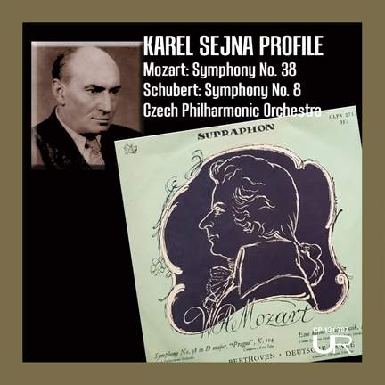 SEJNA PROFILE, VOL. III