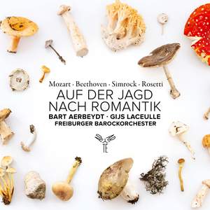 Auf der Jagd Nach Romantik