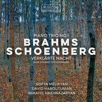 Brahms: Piano Trio No. 1 - Schoenberg: Verklärte Nacht