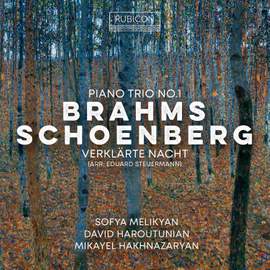 Brahms: Piano Trio No. 1 - Schoenberg: Verklärte Nacht