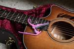 Kyser Quick Change Pink Revival Capo Product Image