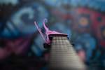 Kyser Quick Change Pink Revival Capo Product Image