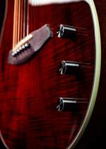 Rathbone Acoustic Guitar Showmaster  Product Image