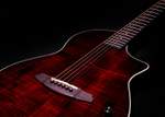 Rathbone Acoustic Guitar Showmaster  Product Image