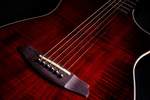 Rathbone Acoustic Guitar Showmaster  Product Image