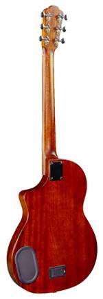 Rathbone Acoustic Guitar Showmaster  Product Image