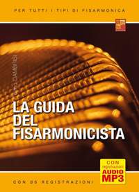 Telmo'Dambrisi: La guida del fisarmonicista