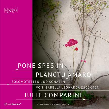 Pone spes in planctu amaro