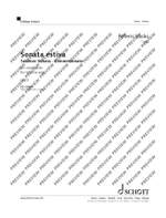 Vasks, Pēteris: Sonata estiva Product Image