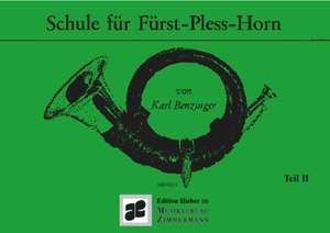Benzinger, Karl: Schule für Fürst-Pless-Horn Teil II