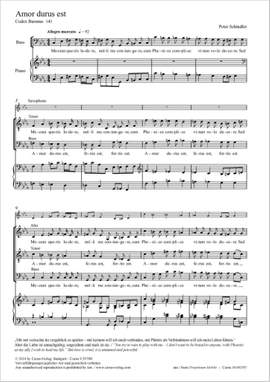 Peter Schindler: Amor durus est - C minor