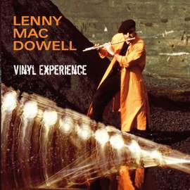 Vinyl Experience