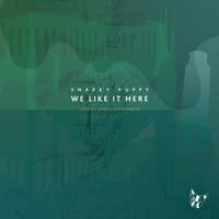We Like It Here: Remixed + Remastered + Reimagined