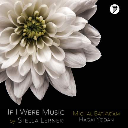 If I Were Music