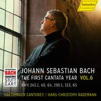 Vision.bach - the First Cantata Year, Vol. 6 (bwv 243.1, 40, 64, 190.1, 153, 65)