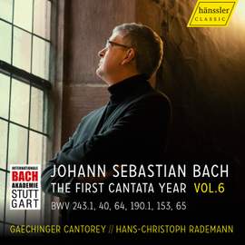 Vision.bach - the First Cantata Year, Vol. 6 (bwv 243.1, 40, 64, 190.1, 153, 65)