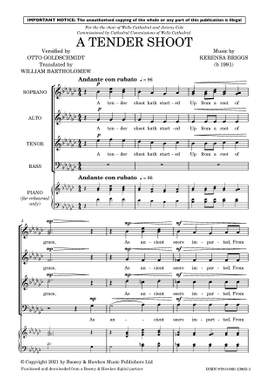 Briggs, Kerensa: A tender shoot (SATB with divisi a cappella) - Digital Sheet Music