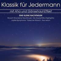 Klassik für Jedermann: Eine Kleine Nachtmusik