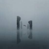 Dissolution