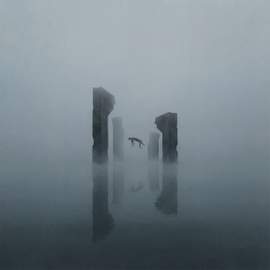 Dissolution
