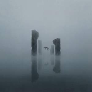 Dissolution