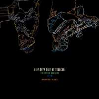 Live Deep Dive at Timucua: The Art of Duo Live, Set 2