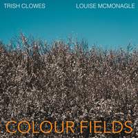 Colour Fields