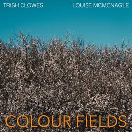 Colour Fields