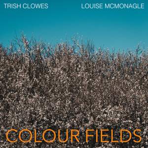Colour Fields
