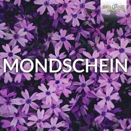 Mondschein
