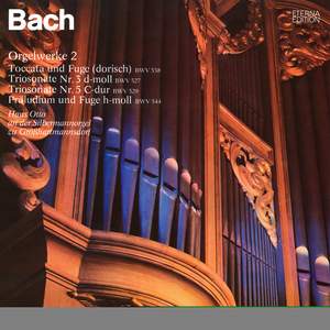 Bach: Orgelwerke auf Silbermannorgeln 2