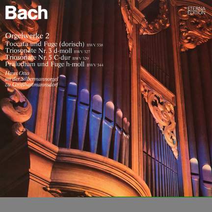 Bach: Orgelwerke auf Silbermannorgeln 2