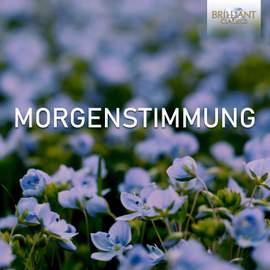 Morgenstimmung