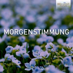 Morgenstimmung