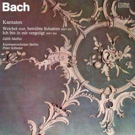 Bach: 'Weichet nur, betrübte Schatten', BWV 202 - 'Ich bin in mir vergnügt', BWV 204