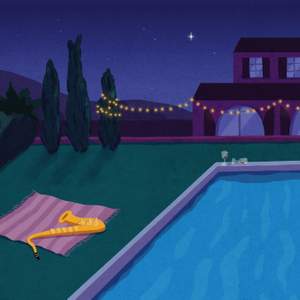 In the Still of the Night