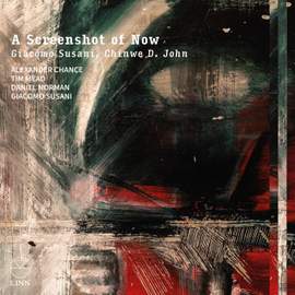 Giacomo Susani: A Screenshot of Now