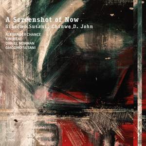 Giacomo Susani: A Screenshot of Now